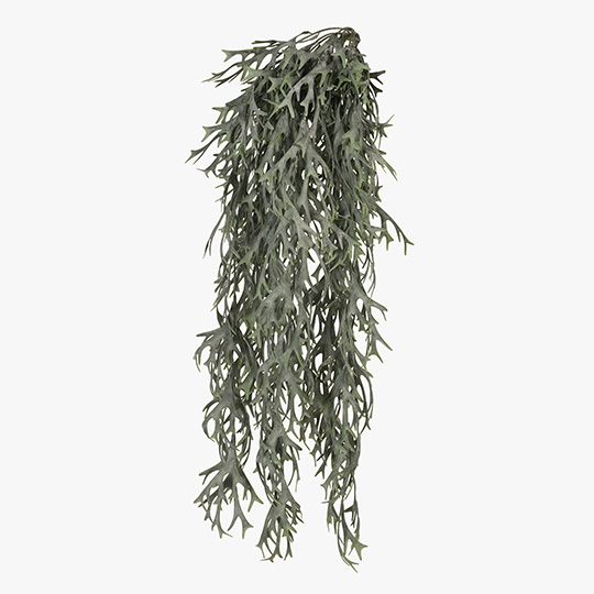 Fern Staghorn Hanging Bush Grey Green 81cm Pack of 12