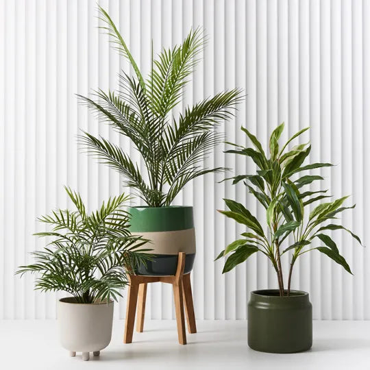 Palm Parlour Green 92cm Pack of 2