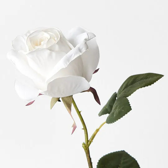 Rose Bud Livia White 53cm Pack of 12