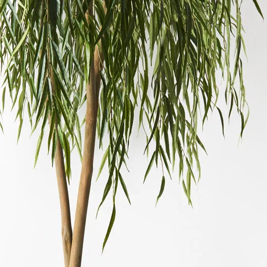 Willow Weeping Tree Green 180cm Pack of 2