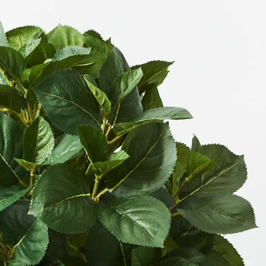 Hydrangea Leaf Plant Green 60cm Pack of 2
