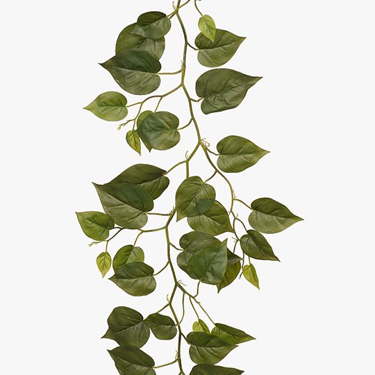 philodendron garlands Artificial Philodendron Hanging Garland Green 182cm Pack of 6 — Flora Designs Australia