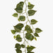 Philodendron Garland Green 182cm Pack of 6