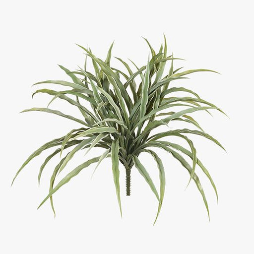 Grass Vanilla Bush Grey Green 30cm Pack of 12