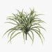 Grass Vanilla Bush Grey Green 30cm Pack of 12