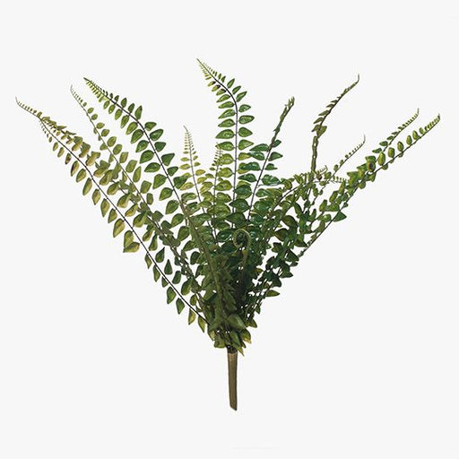 Fern Jewel Bush Green 45cm Pack of 12