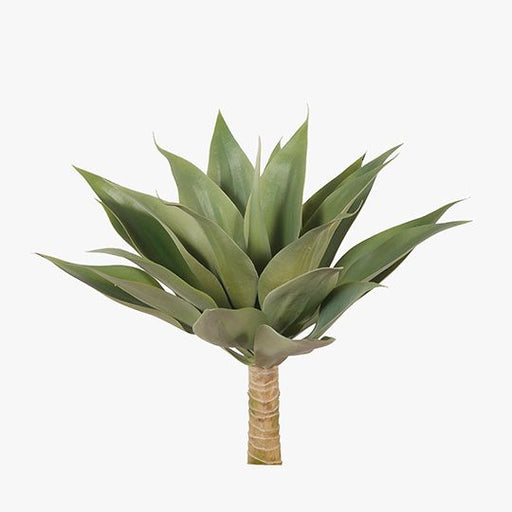 Agave Green 45cm Pack of 6