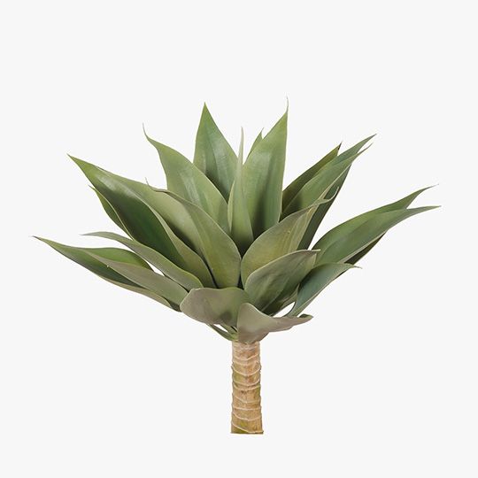 Agave Green 45cm Pack of 6