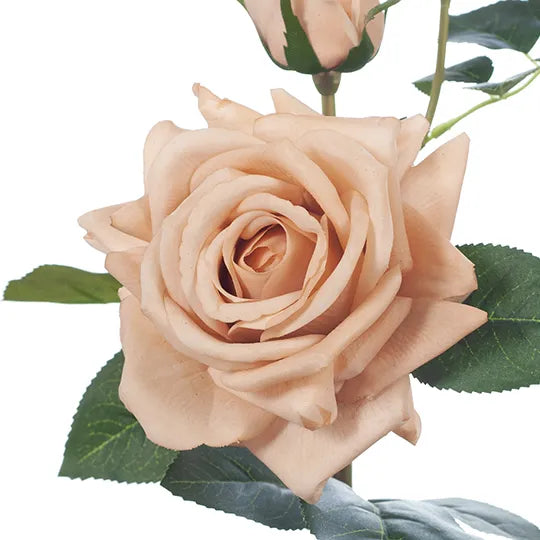 Rose Lisa Spray Blush Pink 56cm Pack of 12