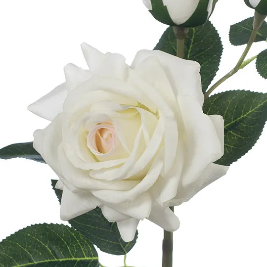 Rose Lisa Spray Ivory White 56cm Pack of 12