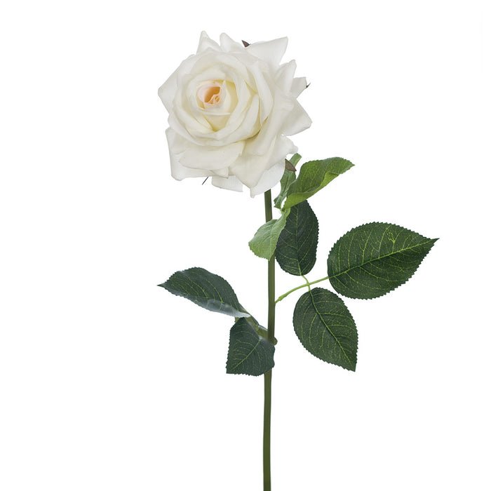 Rose Hannah Ivory White 75cm Pack of 12