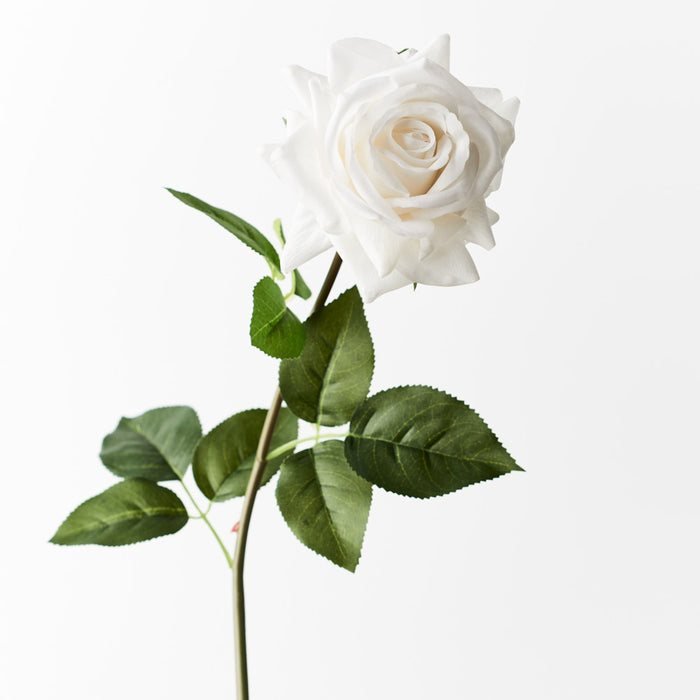 Rose Hannah Winter White 75cm Pack of 12