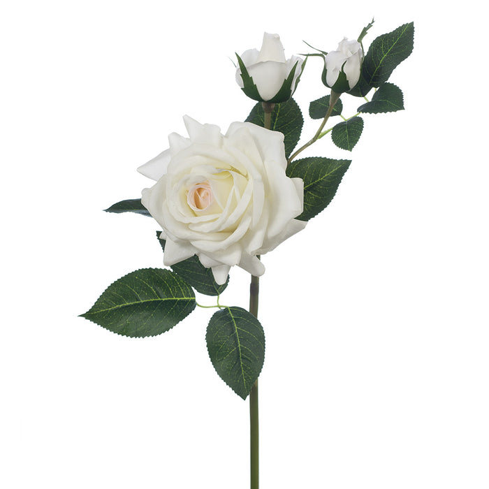 Rose Lisa Spray Ivory White 56cm Pack of 12