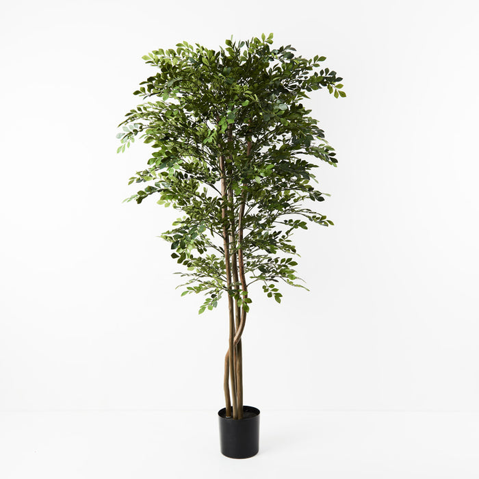 Acacia Tree Green 180cm Pack of 2