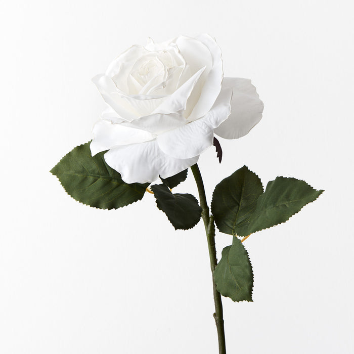 Rose Livia White 65cm Pack of 12