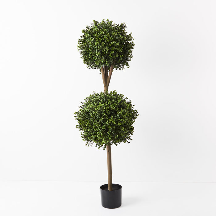 Buxus Ball Tree 150cm Set of 2