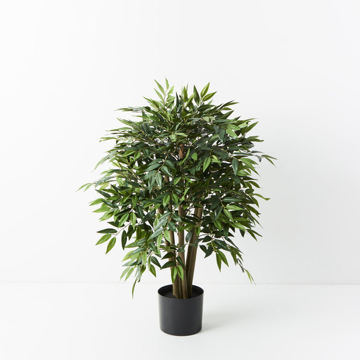 Ruscus Tree Green 90cm Pack of 2