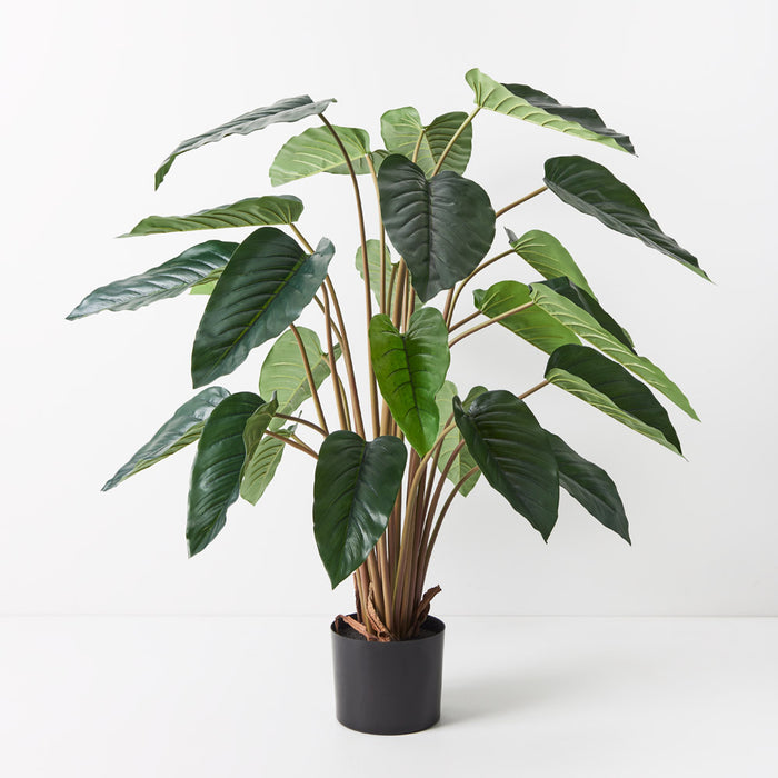 Philodendron Plant Green 100cm Pack of 2