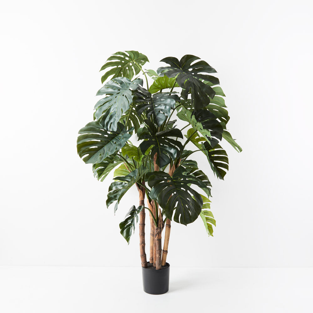 Artificial Monstera Tree Green 165cm Pack of 2 — Flora Designs Australia