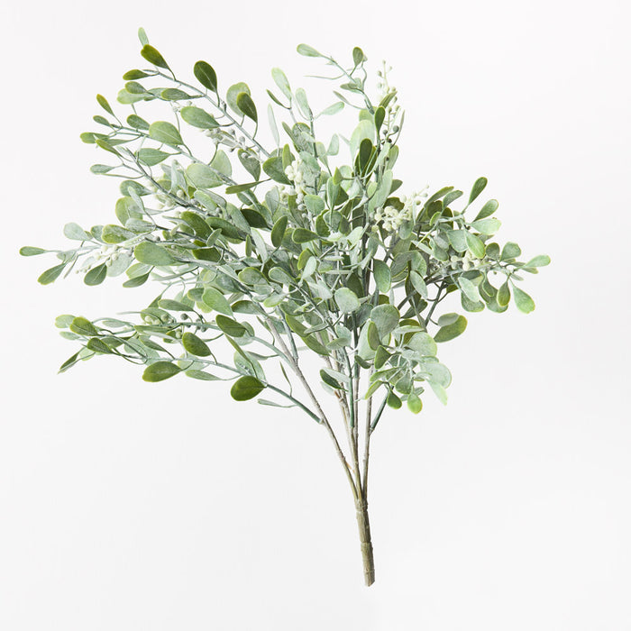 Boxwood Berry Bush Grey Green 51cm Pack of 12