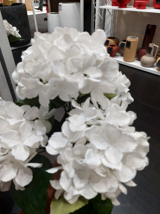 Hydrangea Bush 46cm White Pack of 12