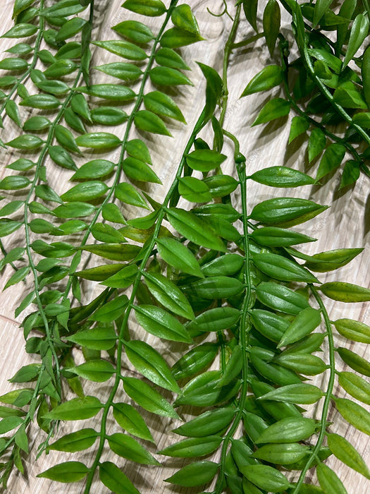 Hanging Forest Fern Leaves 85cm Green Pack of 12