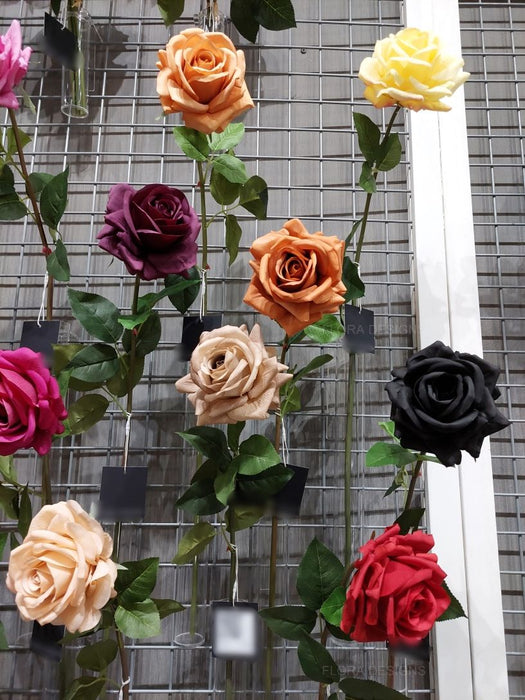 Rose Hannah Black 75cm Pack of 12